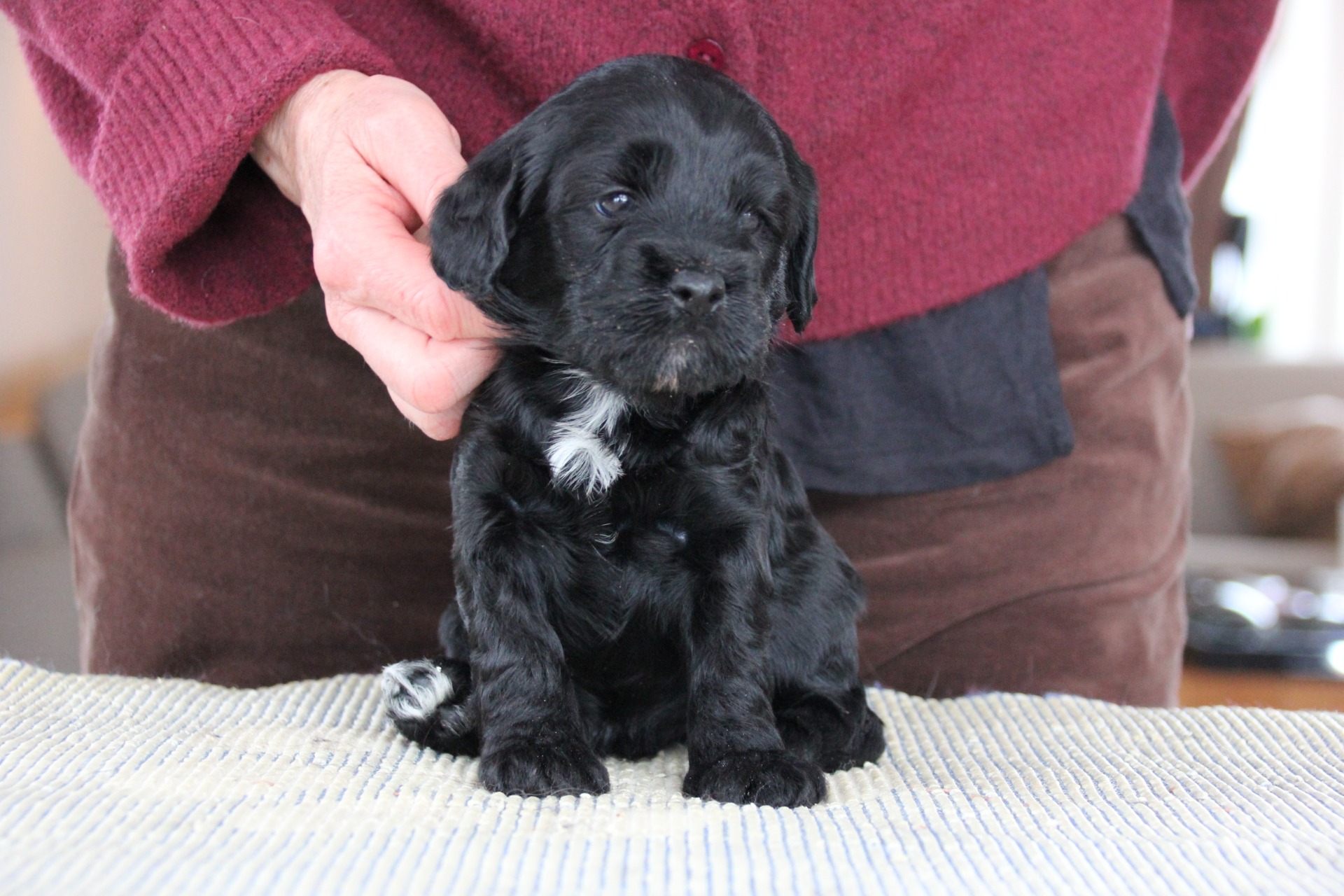 Ki-po Ziis The Star Rasalas " Melvin"