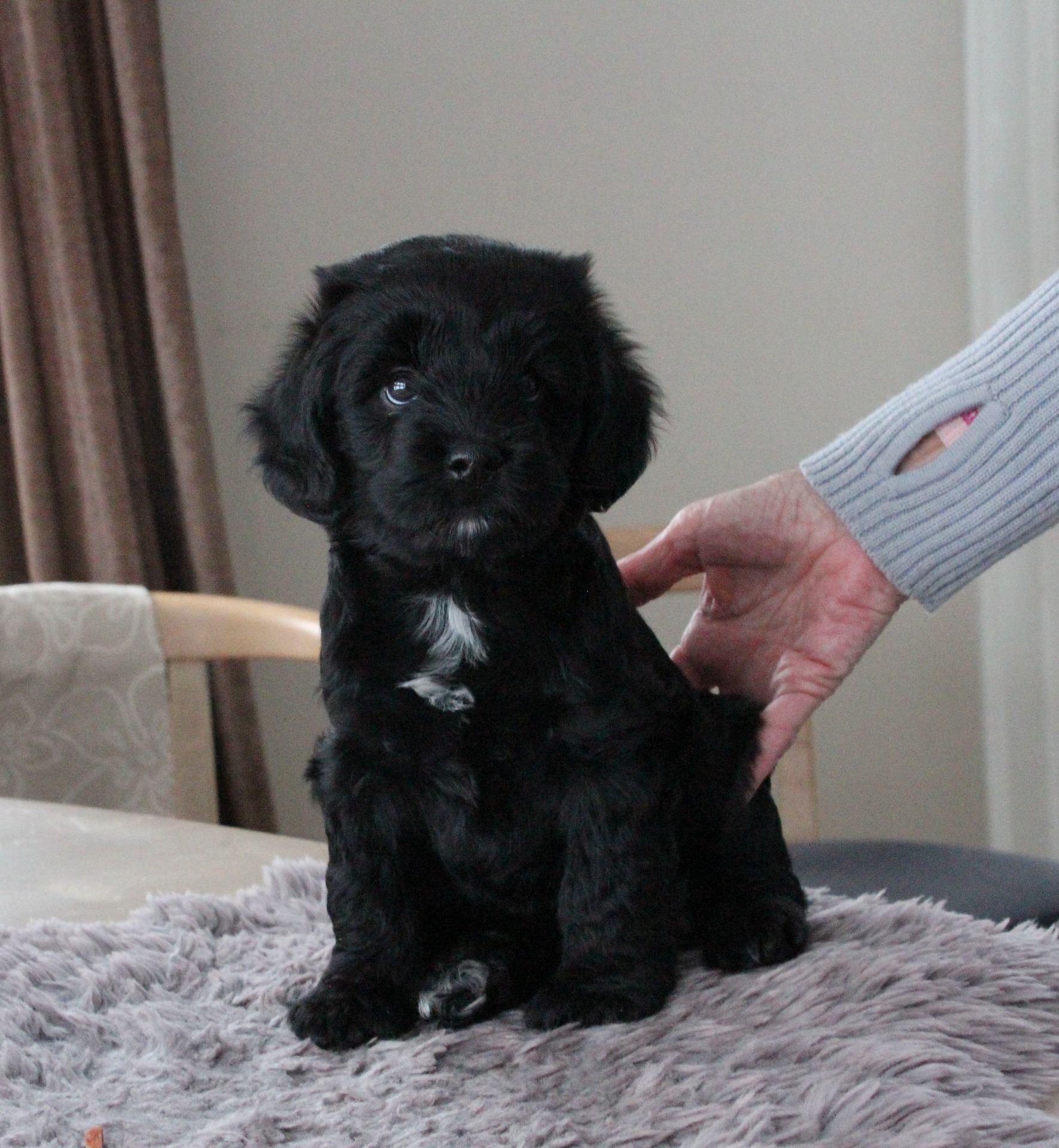 Ki-po Ziis The Star Rasalas " Melvin"